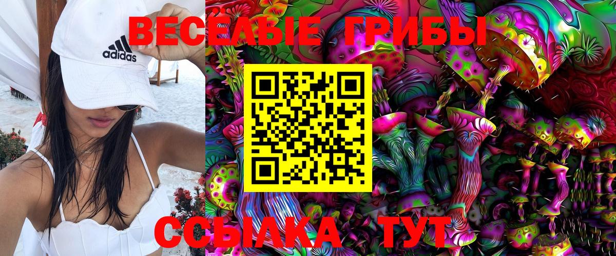 Псилоцибиновые грибы Magic Shrooms Павловский Посад